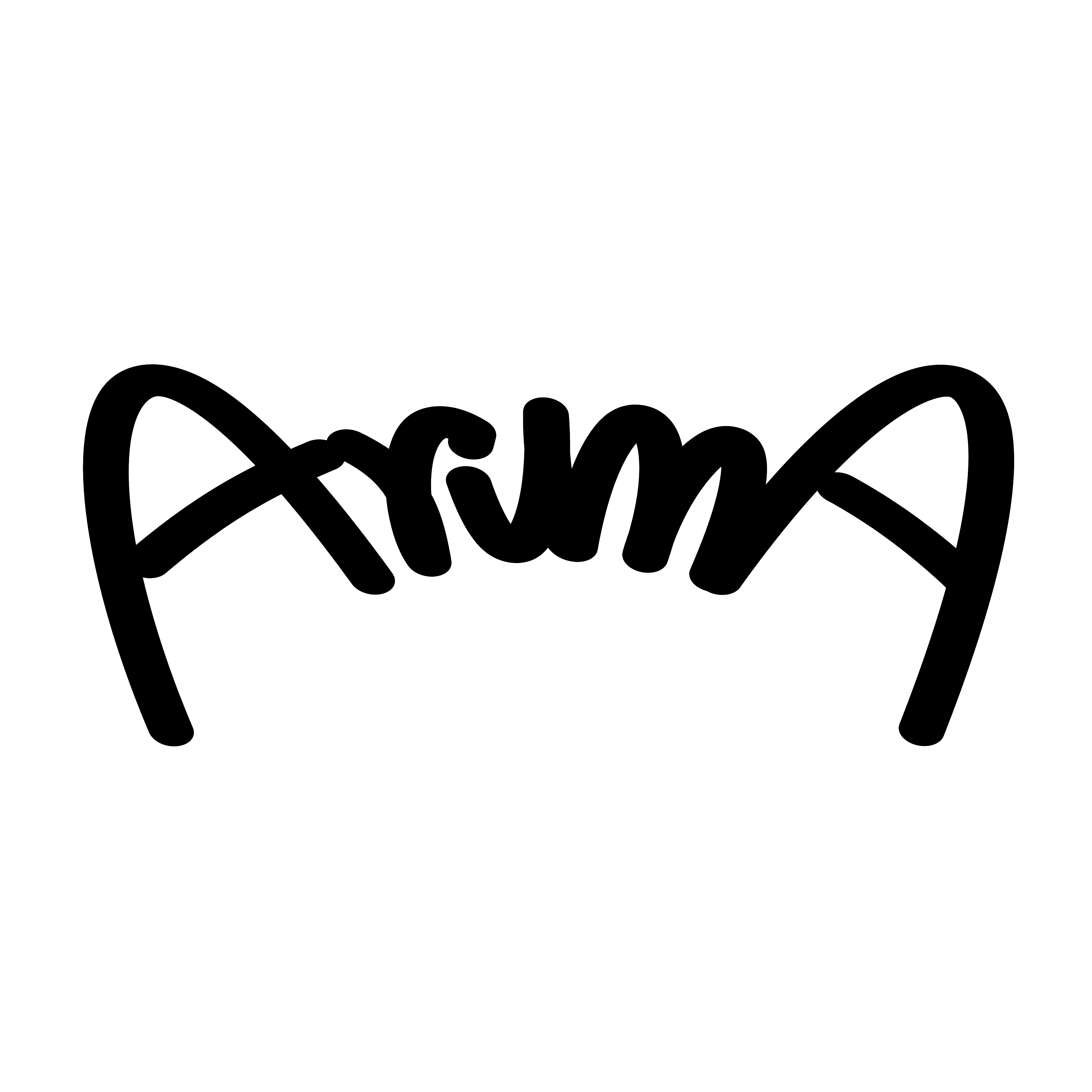 aruma256